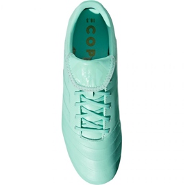 Kopačke Adidas Copa 18.3 Fg M DB2462 plava plava 1