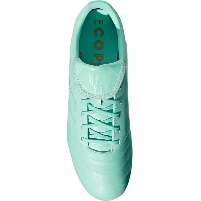 Kopačke Adidas Copa 18.3 Fg M DB2462 plava plava 1