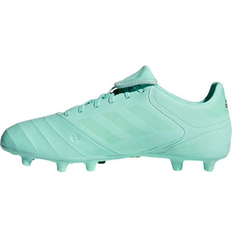 Kopačke Adidas Copa 18.3 Fg M DB2462 plava plava 2