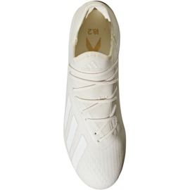 Kopačke Adidas X 18.2 Fg M DB2181 bijela bijela 2