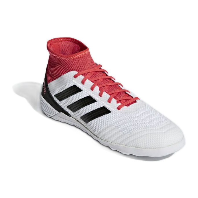 Sobne cipele adidas Predator Tango 18.3 In M CP9929 višebojan bijela 1