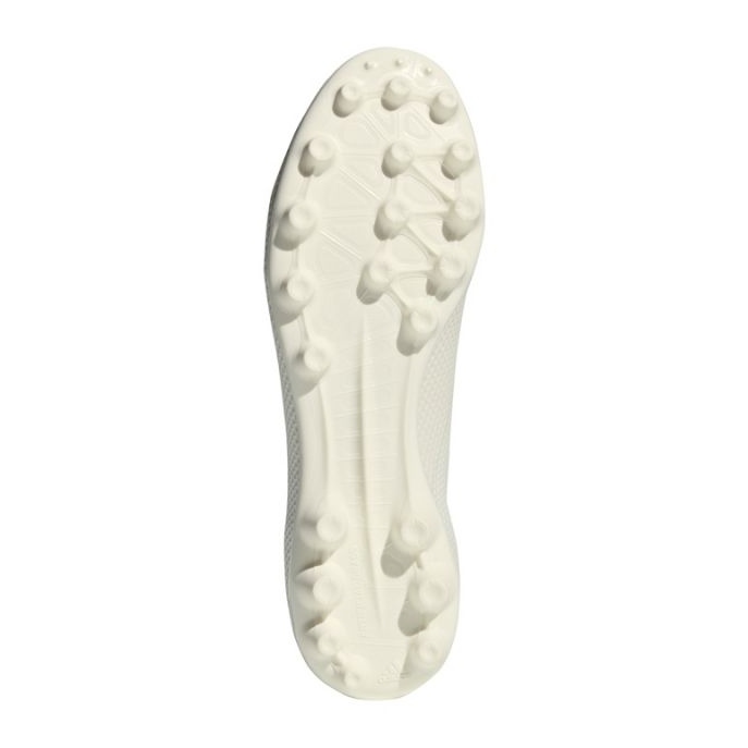 Kopačke Adidas X 18.3 Fg M AQ0708 bijela bijela 2