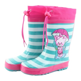 American Club Američki wellies.Mačić nakon izložbe ružičasta zelena 3