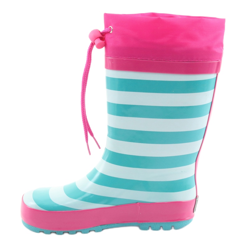 American Club Američki wellies.Mačić nakon izložbe ružičasta zelena 2