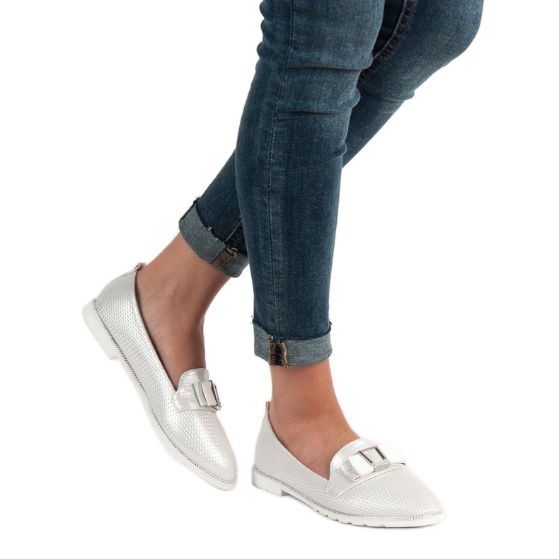 Ch. Creation Srebrni gospodari siva 1