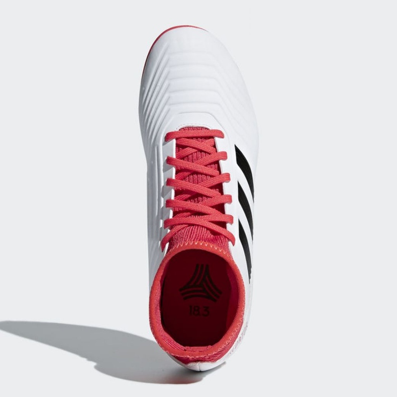 Kopačke Adidas Predator Tango 18.3 Tf Jr CP9040 višebojan bijela 2