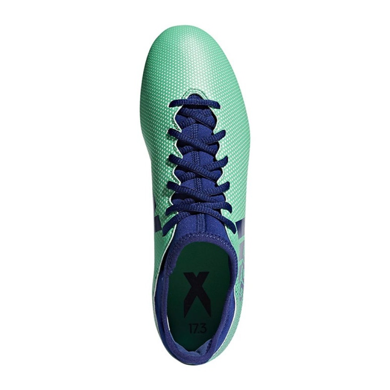 Adidas X 17.3 Fg M CP9194 kopačke višebojan višebojan 1