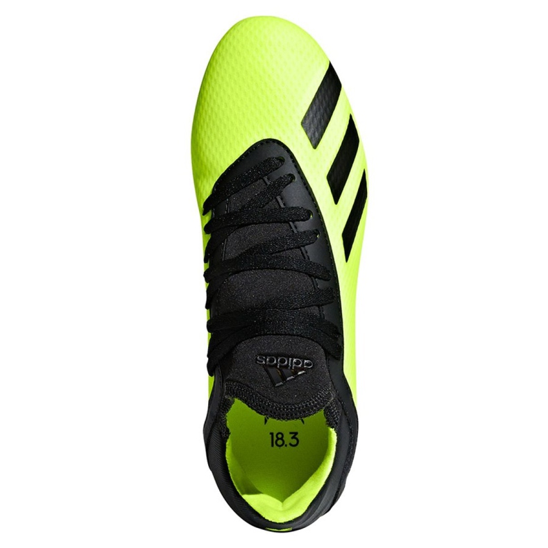 Kopačke Adidas X 18.3 Fg Jr DB2418 raznobojna zelena 2