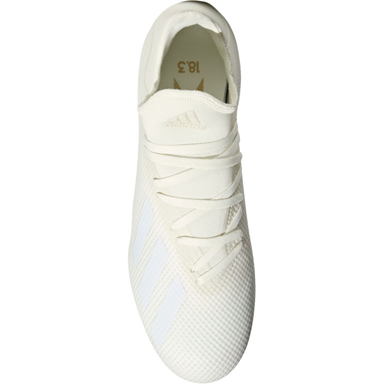 Kopačke Adidas X 18.3 Fg M DB2184 višebojan bijela 2