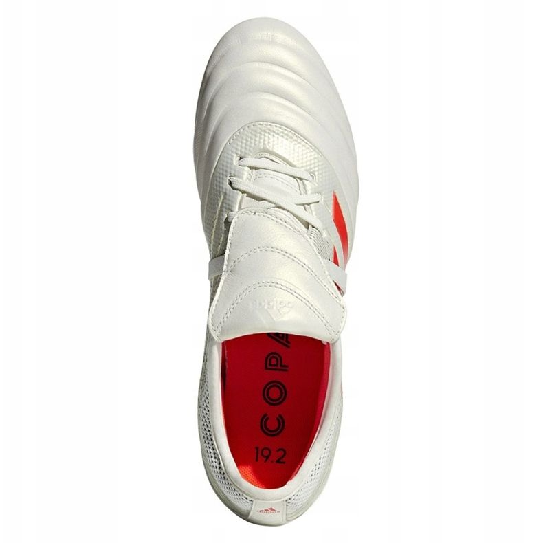 Kopačke Adidas Copa Gloro 19.2 Fg M D98060 višebojan bijela 2