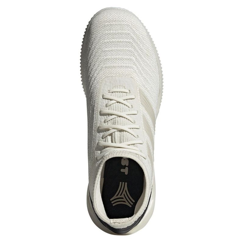 Unutarnje cipele adidas Predator 19.1 Tr M D98056 višebojan bijela 2