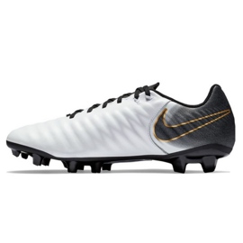 Nike Tiempo Legend 7 Academy Fg M AO2596-100 nogometna cipela višebojan srebro 1