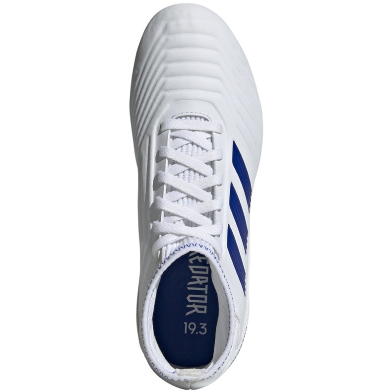 Adidas Predator 19.3 Fg Jr CM8535 kopačke višebojan bijela 2