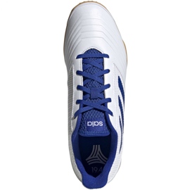 Unutarnje cipele adidas Predator 19.4 In Sala M D97974 bijela bijela 2