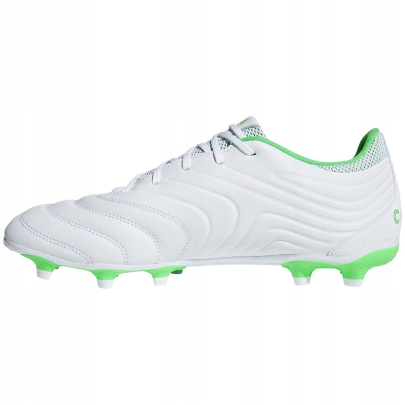 Kopačke Adidas Copa 19.3 Fg M BB9188 plava bijela 1