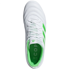 Kopačke Adidas Copa 19.3 Fg M BB9188 plava bijela 2