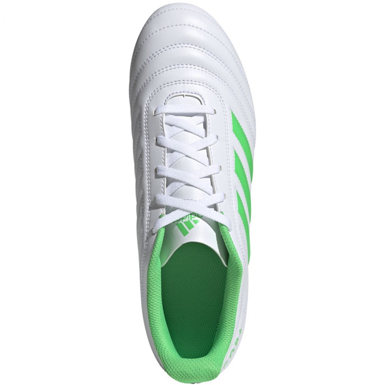 Kopačke Adidas Copa 19.4 Fg M D98069 višebojan bijela 2