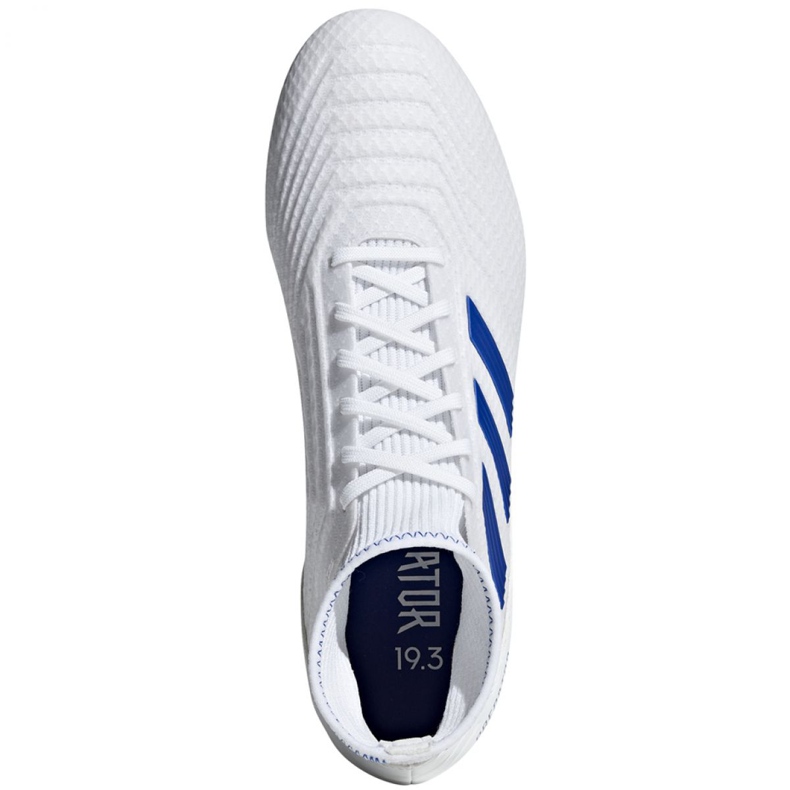 Kopačke Adidas Predator 19.3 Fg M BB9333 višebojan bijela 2
