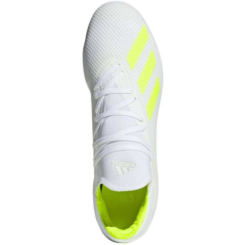 Kopačke Adidas X 18.3 Fg M BB9368 bijela bijela 1