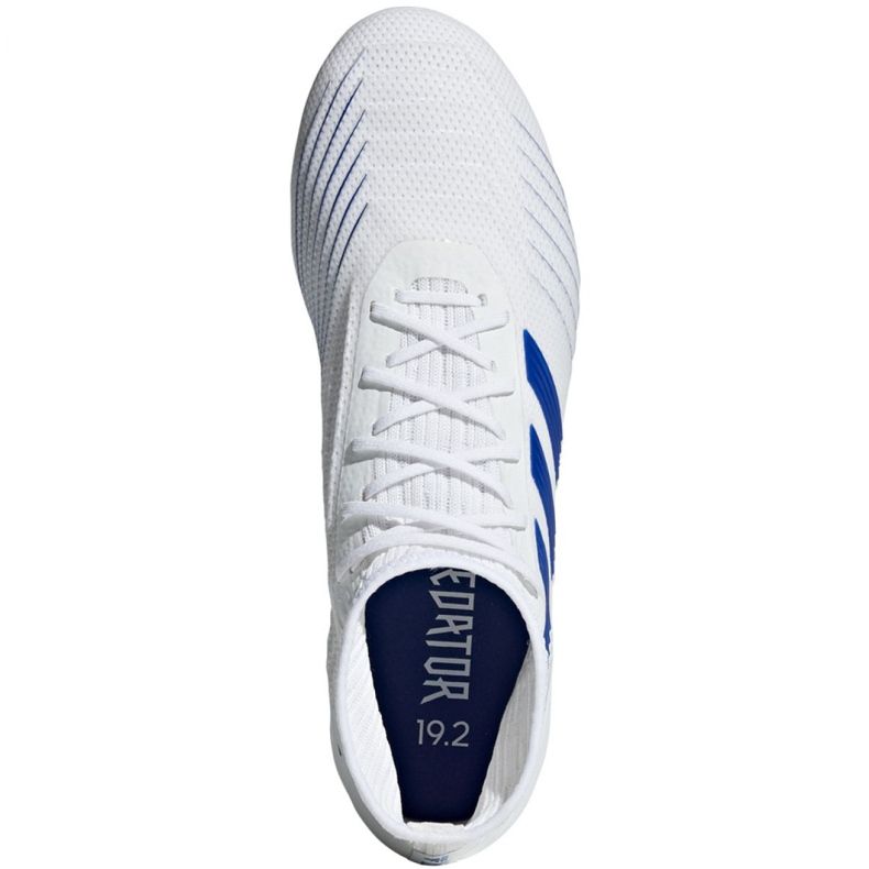 Kopačke Adidas Predator 19.2 Fg M D97941 višebojan bijela 2