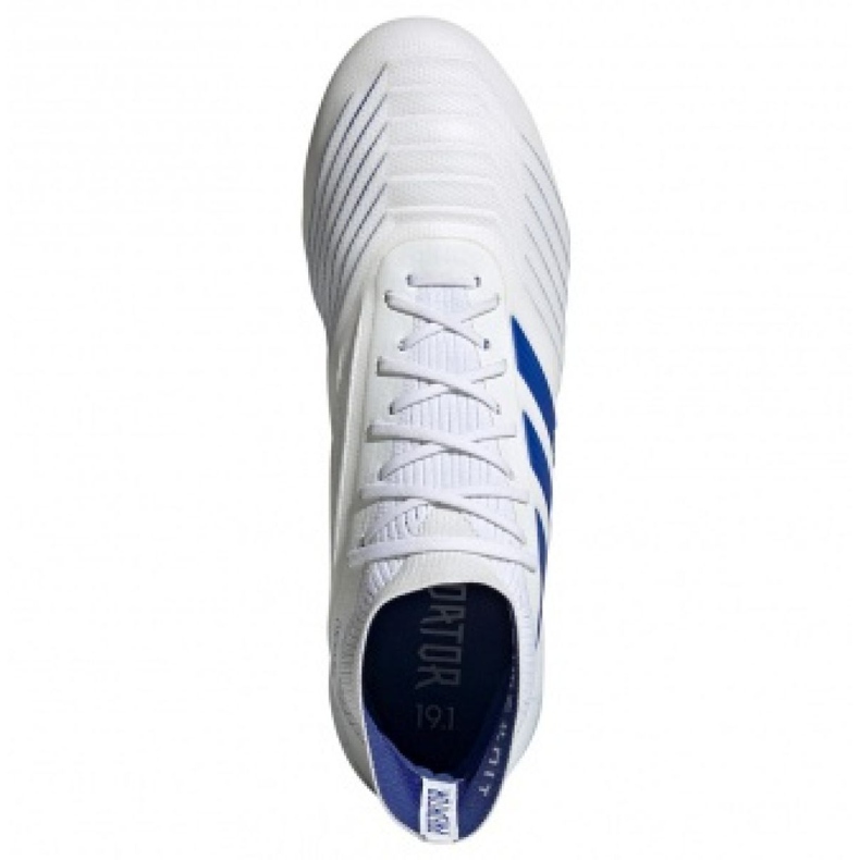 Adidas Predator 19.1 Sg M D98055 kopačke bijela bijela 2