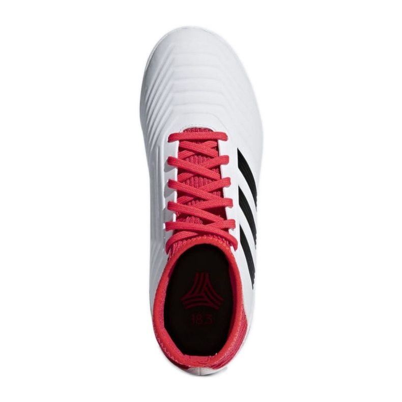 Sobne cipele adidas Predator Tango 18.3 In Jr CP9073 raznobojna bijela 2
