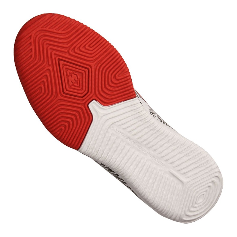 Unutarnje cipele Nike Jr Vapor 12 Academy Gs Njr Ic Jr AO9474-170 siva siva 2