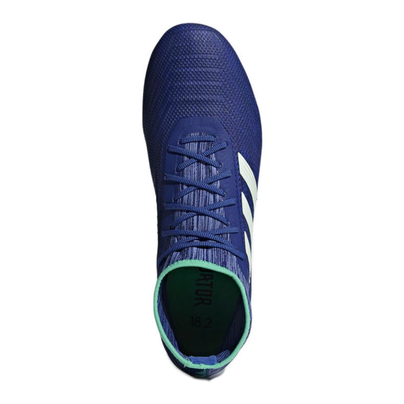 Kopačke Adidas Predator 18.2 Fg M CP9293 raznobojna plava 1