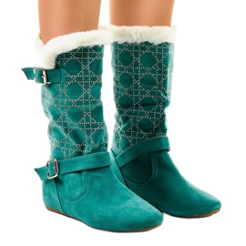 Zelene ravne čizme do sredine tela R100 zelena 1