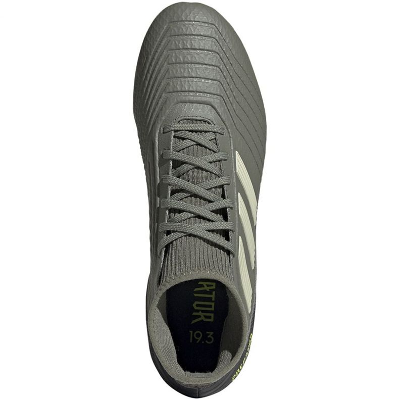 Kopačke Adidas Predator 19.3 Fg M EF8208 siva siva 1