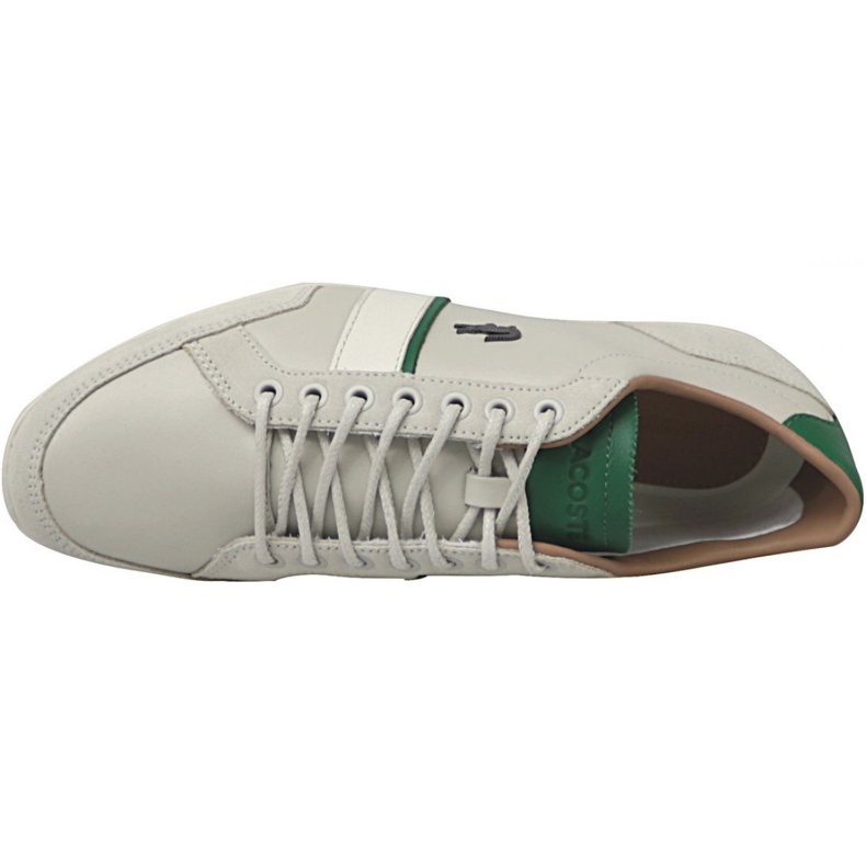 Lacoste Alisos 117 1 M CAM1018098 raznobojna 2