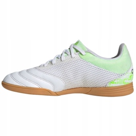 Unutarnje cipele adidas Copa 20.3 In Sala Jr EF1916 raznobojna bijela 2