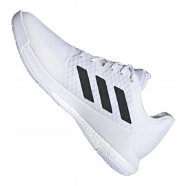 Adidas cipele za odbojku Crazyflight M FW8237 raznobojna bijela 1