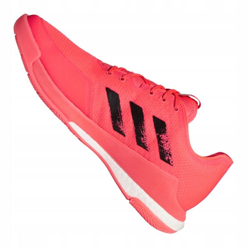 Adidas cipele za odbojku Crazyflight Tokyo M FX1764 višebojan ružičasta 1