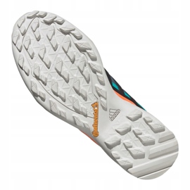 Adidas Terrex Swift R2 Gtx M FV6843 cipele tamnoplava zelena 2