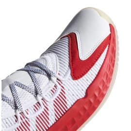 Adidas Pro Boost Low M FW9503 tenisica za košarku višebojan bijela 2