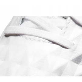 Nike Legend 8 Elite Fg M AT5293-163 kopačke raznobojna bijela 2