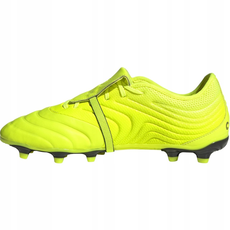 Adidas Copa Gloro 19.2 Fg nogometne cipele žute F35491 žuta boja žuta boja 1