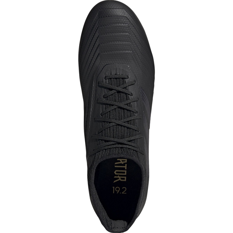 Kopačke adidas Predator 19.2 Fg crne F35603 crna crna 1
