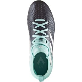 Kopačke Adidas Ace 17.1 Fg Jr S77040 plava plava 1