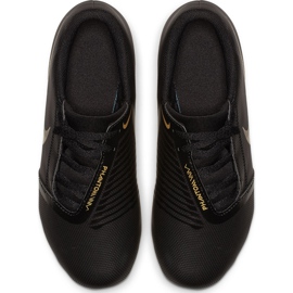 Nike Phantom Venom CLub Fg Junior AO0396 077 nogometne cipele višebojan crna 1