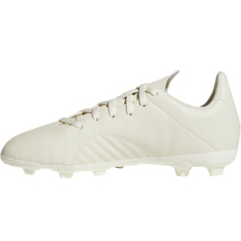 Kopačke Adidas X 18.4 FxG Jr DB2421 višebojan bež 1