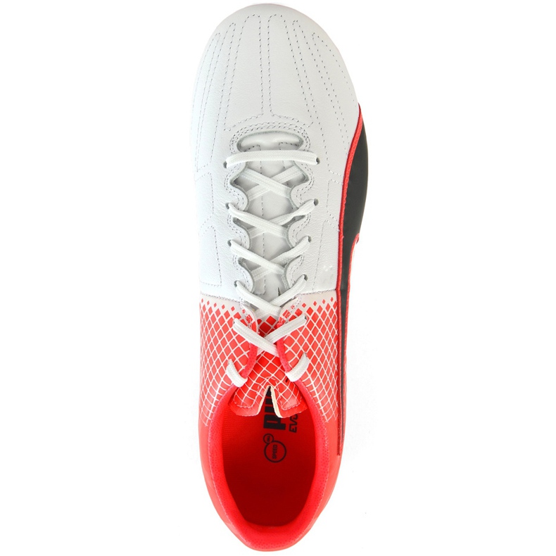 Kopačke Puma Evo Speed ​​3.5 Fg Koža 103794 01 plava, bijela, crna višebojan 1