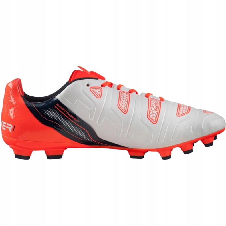 Kopačke Puma Evo Power 1.2 Ag 103213 05 siva 1