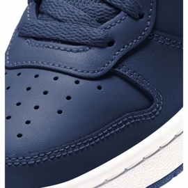 Cipele Nike Court Borough Low 2 (GS) Jr BQ5448-401 bež tamnoplava 1