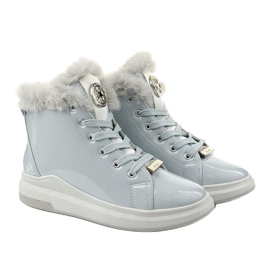 Sive čizme, izolirane čizme Freemans siva 2