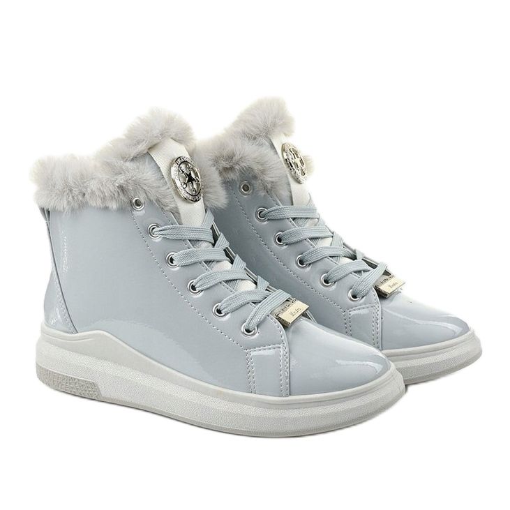 Sive čizme, izolirane čizme Freemans siva 2