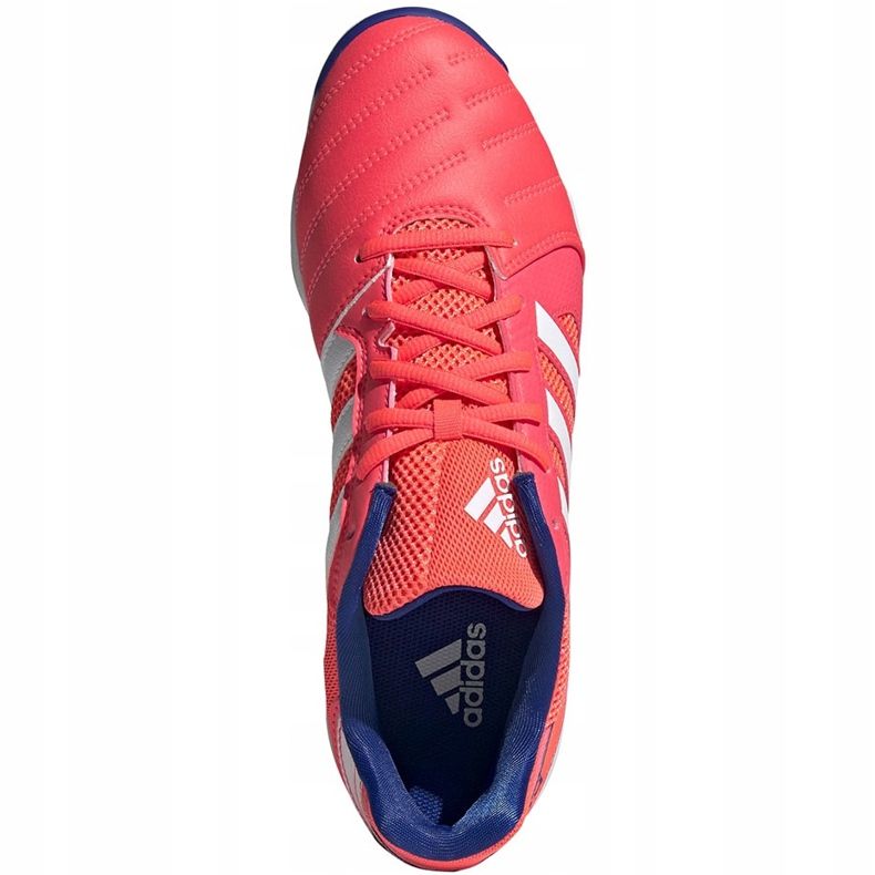 Adidas Top Sala nogometne cipele crvene FX6761 crvena crvena 1
