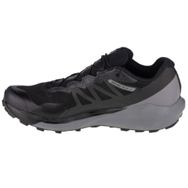 Salomon Sense Ride 3 Gtx M 409751 crna 1