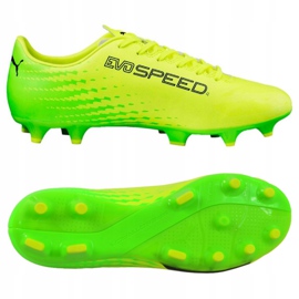 Kopačke Puma Evo Speed ​​17,4 Fg M 104017 01 zelena 2